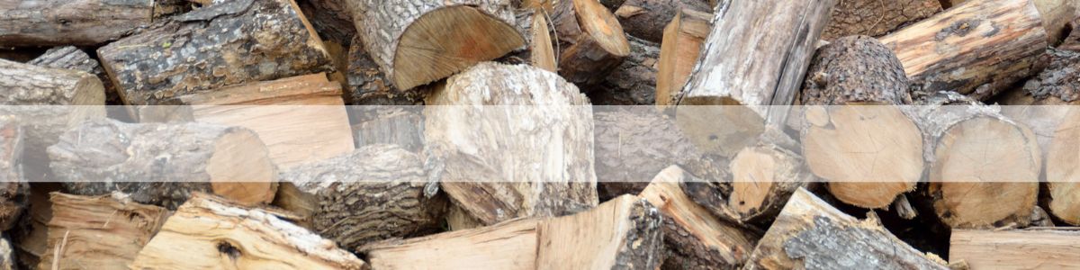 Logs