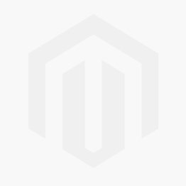 torchlight stock price torchlight stock price