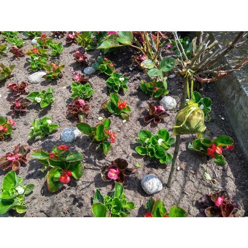 Natural Cat Repellent 2 pack