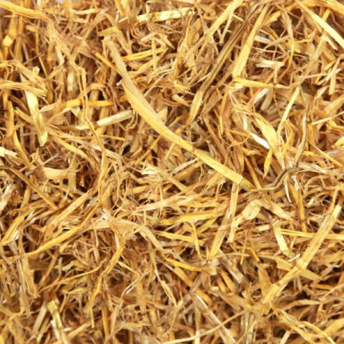 Straw For Rabbits Straw Bedding for rabbits | Soft & Golden | Large 1.8kg