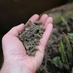 wool pellets for slugs