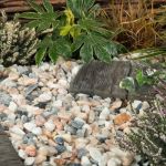 Blossom Gravel 20mm - 800kg Bulk Bag