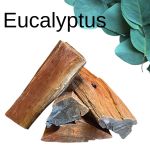 eucalyptus logs