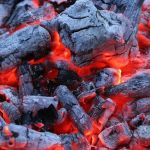 cahrcoal bags