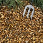 Golden gravel 