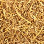 bedding for rabbits
