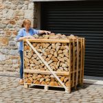 birch wood logs