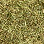 Large 1.8kg Bale of hay for rabbits and guinea pigs