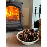 Scented Pine Cones