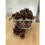 Scented Pine Cones