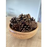 Scented Pine Cones
