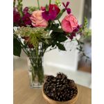 Scented Pine Cones