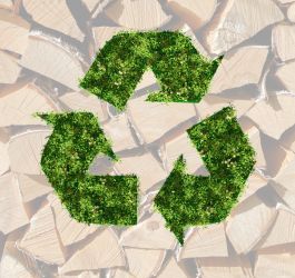 8 Ways to Heat Your Home More Sustainably Using Your Wood Burner