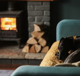 Kiln Dried Logs - Unlocking The Secret Of Moisture Content