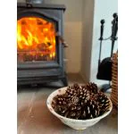Scented Pine Cones - Orange, Cinnamon and Clove