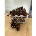 Scented Pine Cones - Orange, Cinnamon and Clove