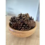 Scented Pine Cones - Orange, Cinnamon and Clove