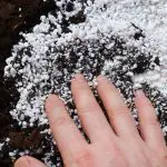 vitax perlite
