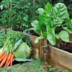bulk delivery of soil