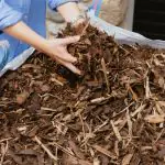 Bark chippings