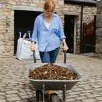 bark wood mulch
