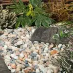 Blossom Gravel 20mm - 800kg Bulk Bag
