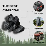 Birch Lumpwood Charcoal 10kg 4 Bag Deal