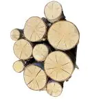 decorative birch logs