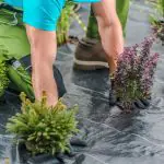 Heavy Duty Weed Control Ground Cover Membrane - 2m x 10m