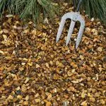 Golden gravel 
