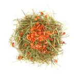 hay food for rabbits