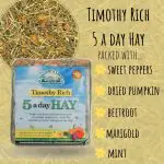 Timothy Rich hay