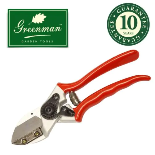 Greenman Anvil Pruning Secateurs