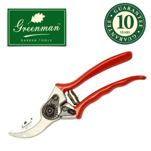 Greenman 8 1/2inch Pruning Secateurs