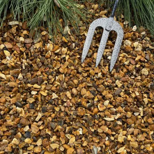 Golden gravel 