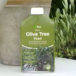 Vitax Olive Tree Concentrated Liquid Feed