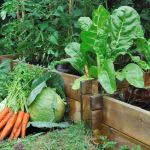 bulk delivery of soil