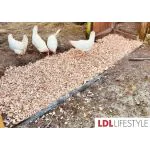 chicken bedding