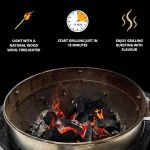 Birch Lumpwood Charcoal 10kg - Half Pallet 21 Bags