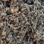 composted bark fines