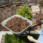 Landscaping bark chips