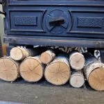 Birch logs for interior design