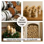 Silver Birch decorative logs