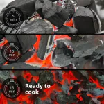 Birch Lumpwood Charcoal 10kg - Full Pallet 42 Bags