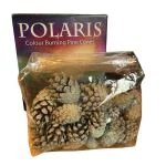 Polaris colour pine cones