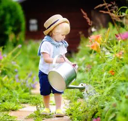 Jobs to Do in the Garden in August: A UK Guide to Topsoil, Compost and Bark Mulch