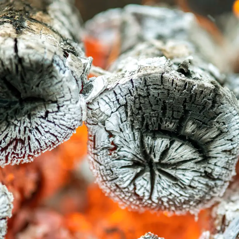 How to Light a Charcoal Barbecue
