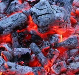 Three surprising ways to dispose of barbecue charcoal