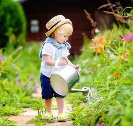 Jobs to Do in the Garden in August: A UK Guide to Topsoil, Compost and Bark Mulch