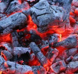 Three surprising ways to dispose of barbecue charcoal
